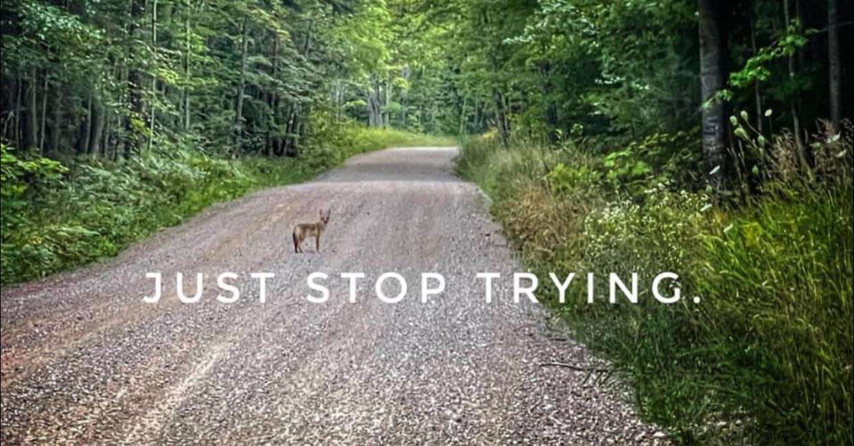 240784467_10160093573095450_5591457644325850368_n.