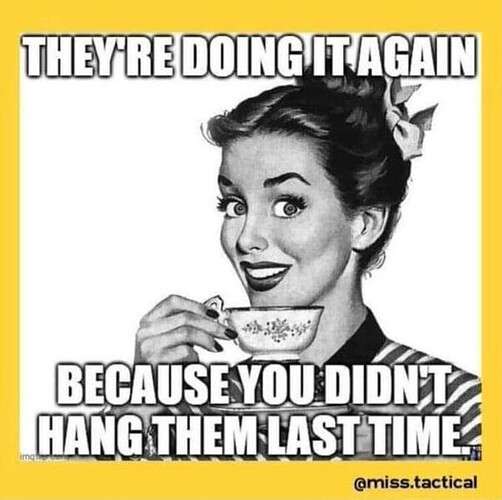 244080f4cec11a8b7ad8faa4259b214c1dfe5cd6_2_502x500.