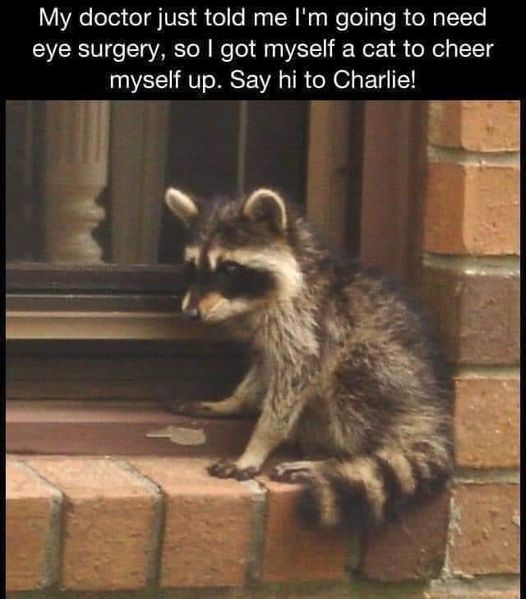 272186757_1048149235917505_7239668517836192187_n.