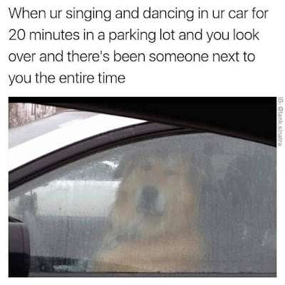 272963634_5060087440708512_2525830587202888769_n.