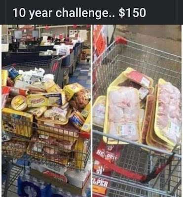 272980378_10224346393541062_3474268815125978777_n.