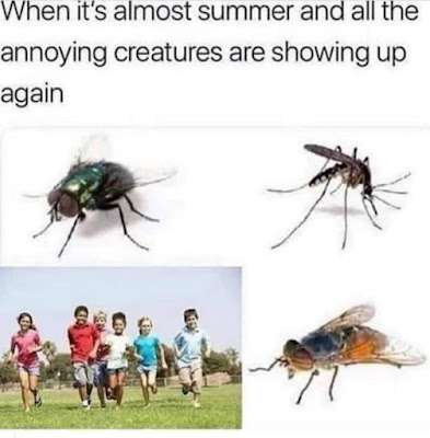 275998585_462040899001390_5796877269632184121_n.