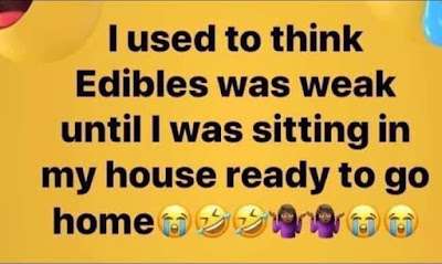 275998585_462040899001390_5796877269632184131_n.