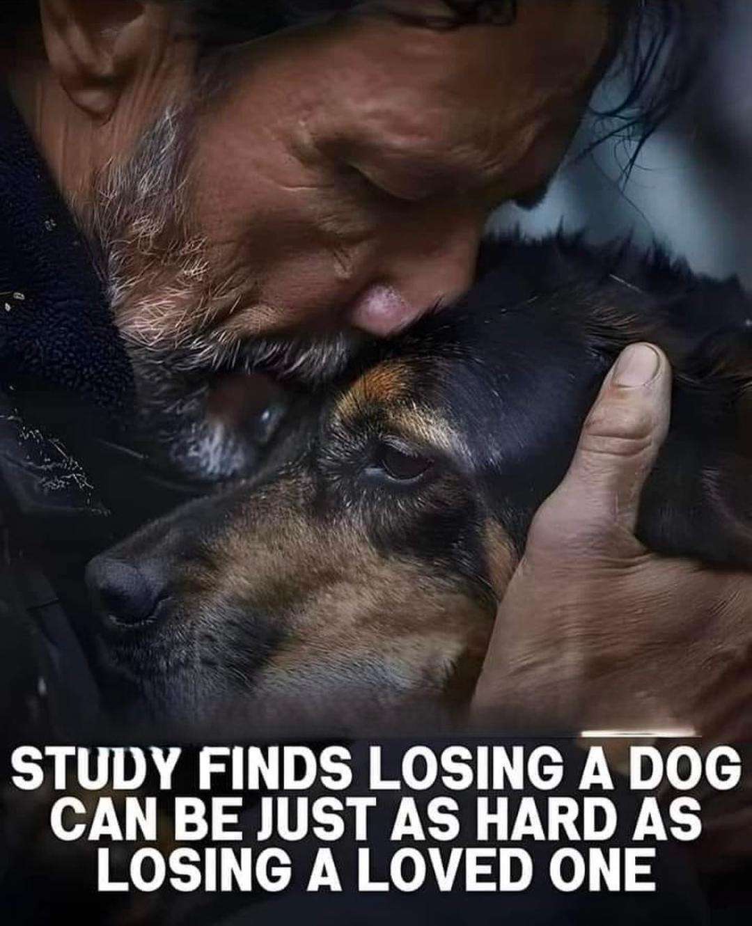 277344185_1105550127022330_42147800112211970_n.