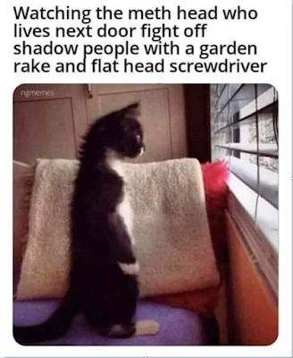 277344185_1105552127921330_410476106953224776_n.