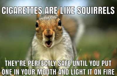 288499985_1525659997969854_468978446953424713_n.