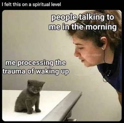 288906133_2226166840923191_94247716251878692_n.