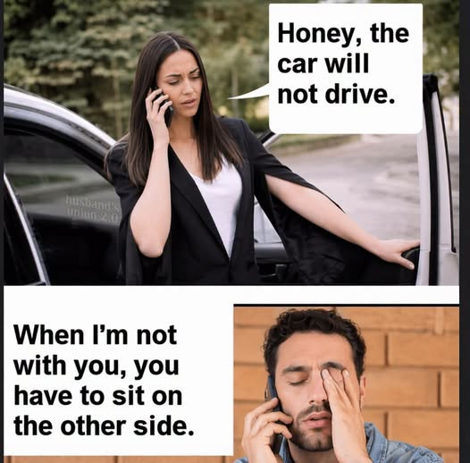 30a0e6a5-2620-4d08-ab3a-e0a920c64f5f.