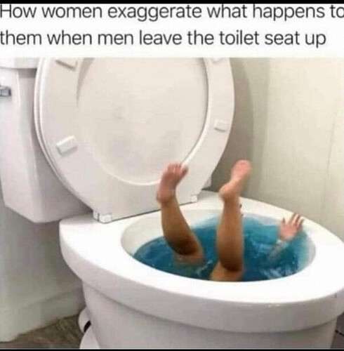 3210c8af230ff3924acbe333ed7d66eaa570f421_2_490x500.