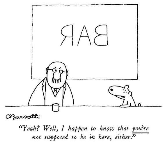 323458061_984235082554917_808580819286233024_n.JPG