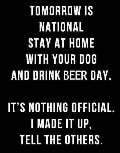 32ab6d852185d1dbdb0fa4af0e591b7ec9aaf6d5_2_393x500.