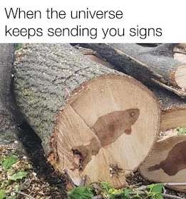 331777398_564704078960027_8680873106317499852_n.