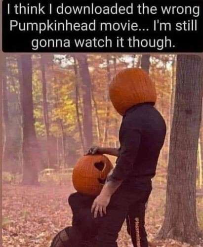 3328be1595e88b28723c1efd2b91098a60b611cb_2_411x500.