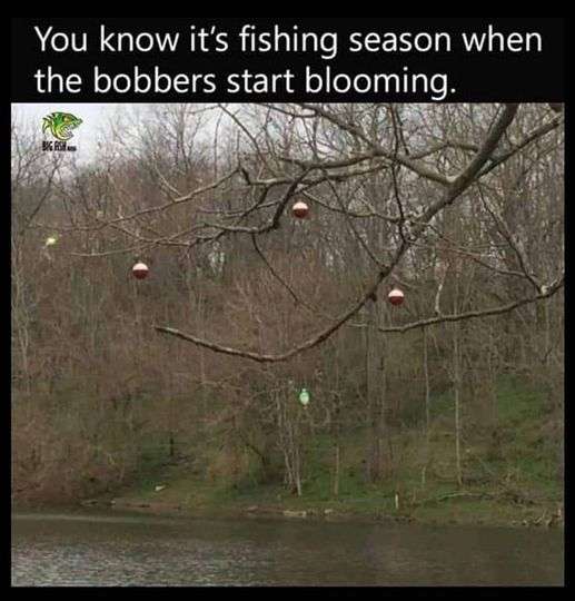 333286122_950609675925372_8801525577693796635_n.