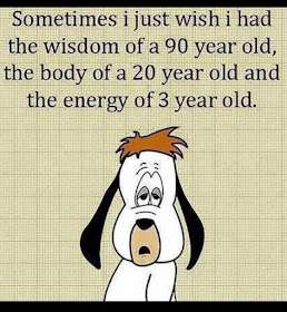 334235950_3344332129138983_9130397243488906066_n.