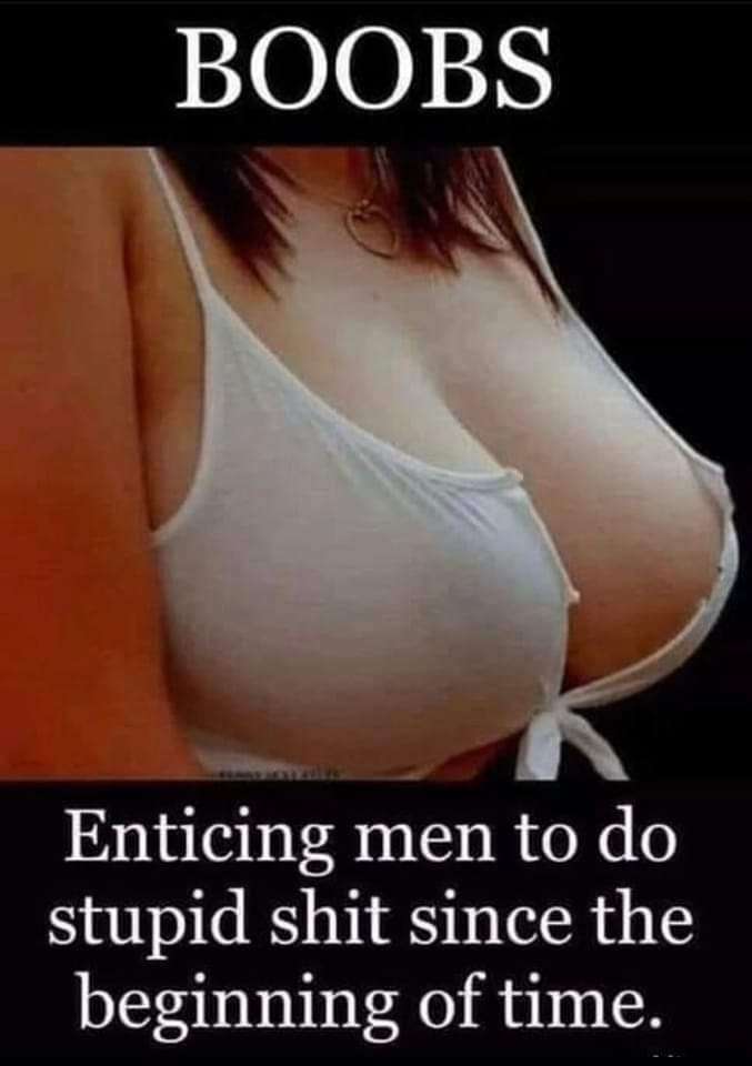 338865215_1352730845511074_2850714551662249460_n.