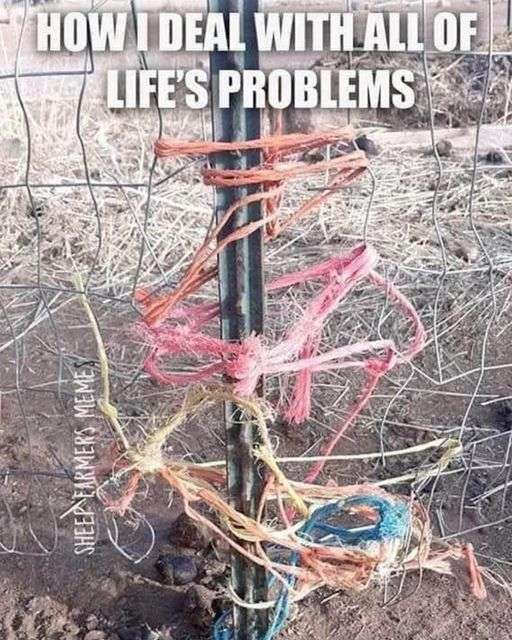 339253213_669287418240876_6029569922124553268_n.