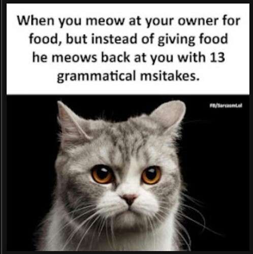 33dc99fa99a35c3f42478c85caa43b83bc194419_2_498x500.