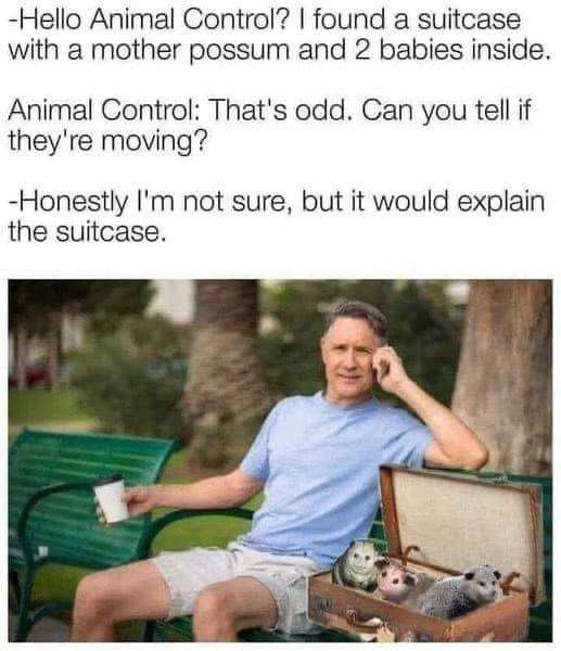 342037853-1213801186176580-7312127883927971622-n.