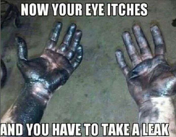 344019344_1529516980913009_8026546343410489804_n.