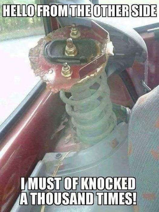 347004902_1598704870620418_7177563031495142644_n.