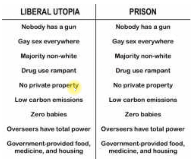 351F9852-083C-422D-9DB2-025DA6BDE279.