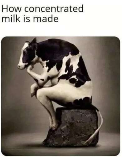 3583fe0e6caa5e6e62c2a632fc7af1115ce76fe8_2_391x500.