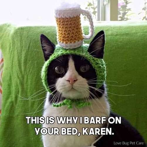 3735b554c61db86ef0c10b3f1c886e163c573826_2_501x500.