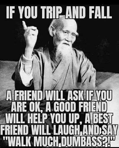 37480989078104f5cc0723dabec924fdb18c1716_2_403x500.