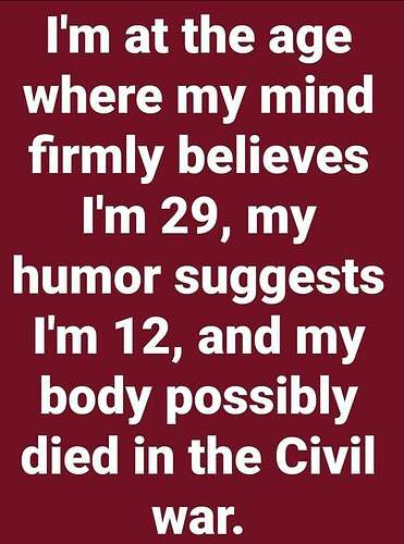 37ae10b944d6a7009bbad112a7a737c5b828b43c_2_371x500.