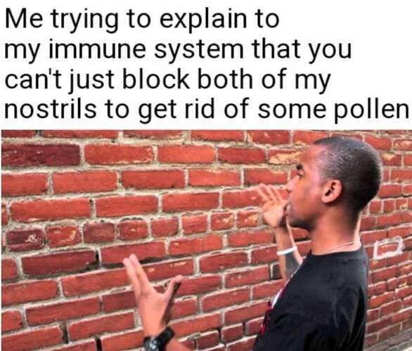 3a7a21e29dadcb842f704bf7a814e96262caf130_2_586x500.