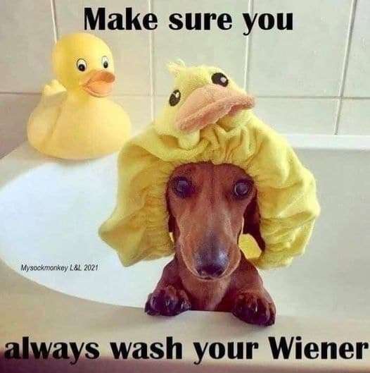 3aa78e8655d97a5158760e02e68da7382b72cbfd.