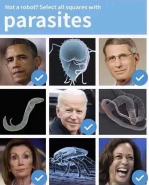 408FA624-265C-4431-ABD2-4DD45AECA336.