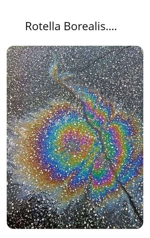 426337483_7540103622746517_3995786481462325828_n.