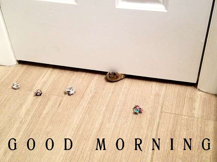 432609167_7778589242152260_3876096554.