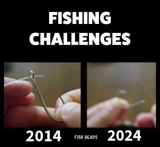 434714345_927837696055292_155156755798490814_n.