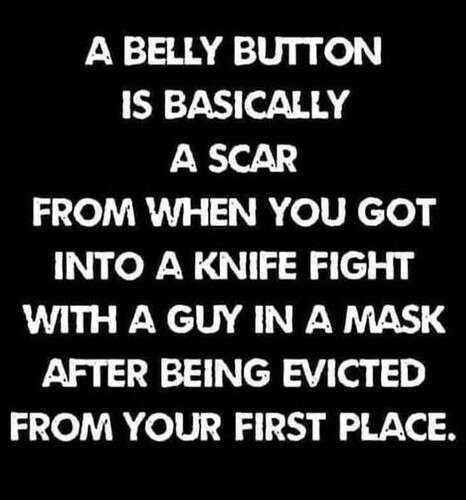 444ae423c508b23473968aa8c80e501f43fd269a_2_466x500.