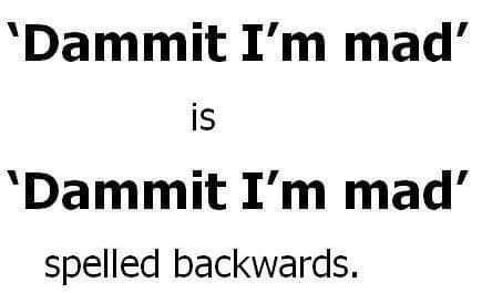 448561754-8244786688874480-4375096701075467587-n.