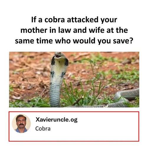 463d6455f76f99c831c887832c5561d41564ee5c_2_502x500.