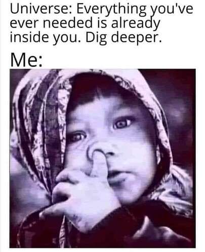 46d0db8f162c1c7fd9f69770365dc4a7c43a4cb5_2_405x499.