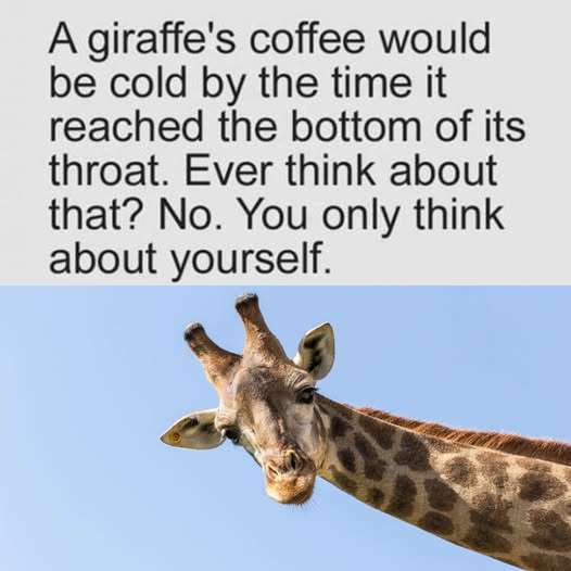 471203214_614234820966548_924746941031218771_n.