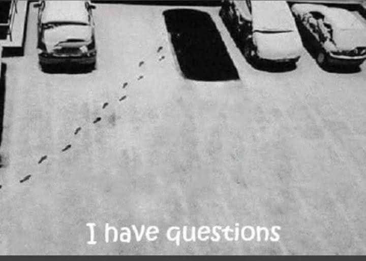 472690805_1140549177733596_8989547401067437402_n.