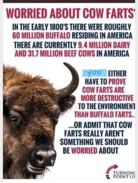 47a9f81db403d5199d2746c3891d24f1d6a07111.