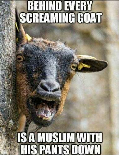 4962b799868f5e196bb33db541b289bb5c0b32a2_2_383x500.