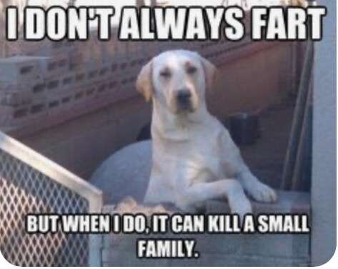 4bb7523fd2b13e67d43839a112c0fef60840324f.