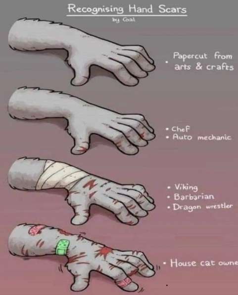 4E9ECB1C-5E23-4254-A51F-8CA590C071CA.