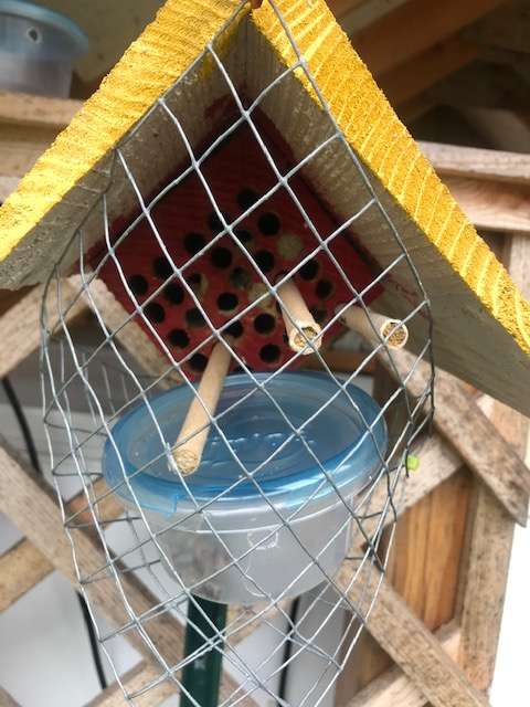 5.