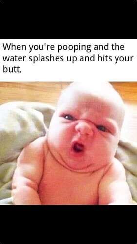 53bcd9ce47a23a95fa946b985a9a36f6ad23a319_2_281x500.