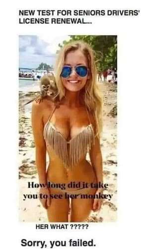 5654b3c4208e1dc2c239f6971fa66fa4c4fdbbb2_2_284x500.