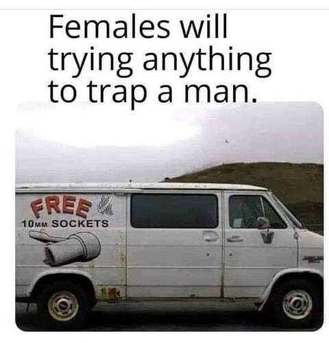 5740a1ccd1af2eb734162391a326a9bfe8e0bfbb_2_480x500.